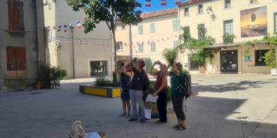 Enquête hirondelles et martinets à Monteux Enquête hirondelles et martinets à Monteux