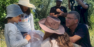 Papillons en vue à Althen-des-Paluds ! Papillons en vue à Althen-des-Paluds !