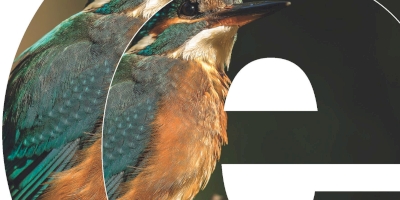 Expo-photos & soirée d'informations à Sorgues Expo-photos & soirée d'informations à Sorgues