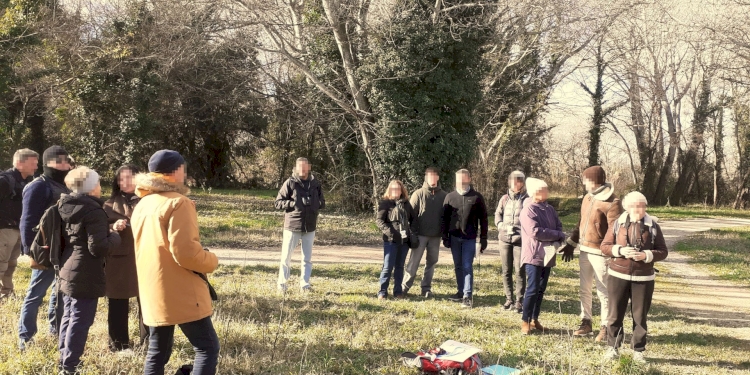 Comptage des oiseaux des jardins de Sorgues