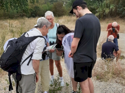 Devine qui Papillonne sur l'île de l'Oiselet à Sorgues Devine qui Papillonne sur l'île de l'Oiselet à Sorgues