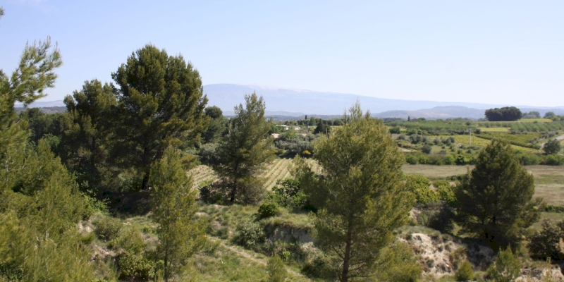 Agir pour restaurer la nature
