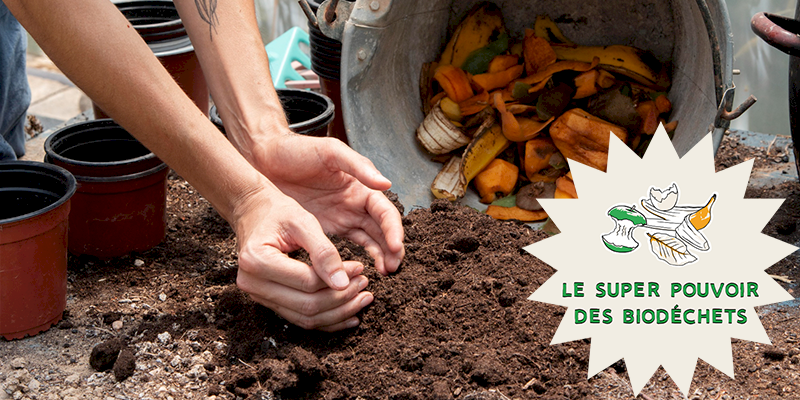 Et si vous adoptiez un composteur !