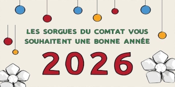 Meilleurs Voeux 2026