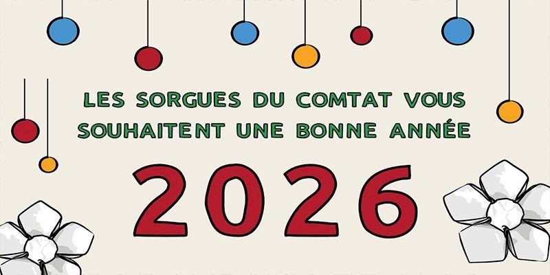 Meilleurs Voeux 2026