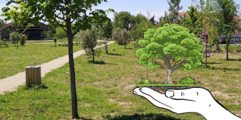 Une Charte de l’arbre pour répondre au changement climatique