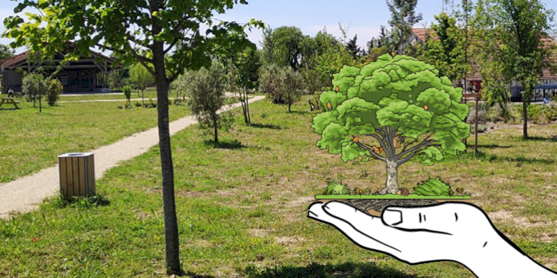 Une Charte de l’arbre et de la haie pour répondre au changement climatique