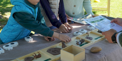 Merci pour votre participation à la Fête de la Nature Merci pour votre participation à la Fête de la Nature