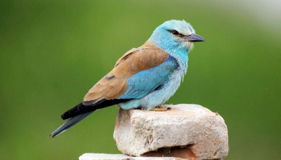Un territoire aux richesses naturelles fragiles Un territoire aux richesses naturelles fragiles