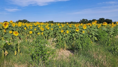L'eau, l'une de nos richesses