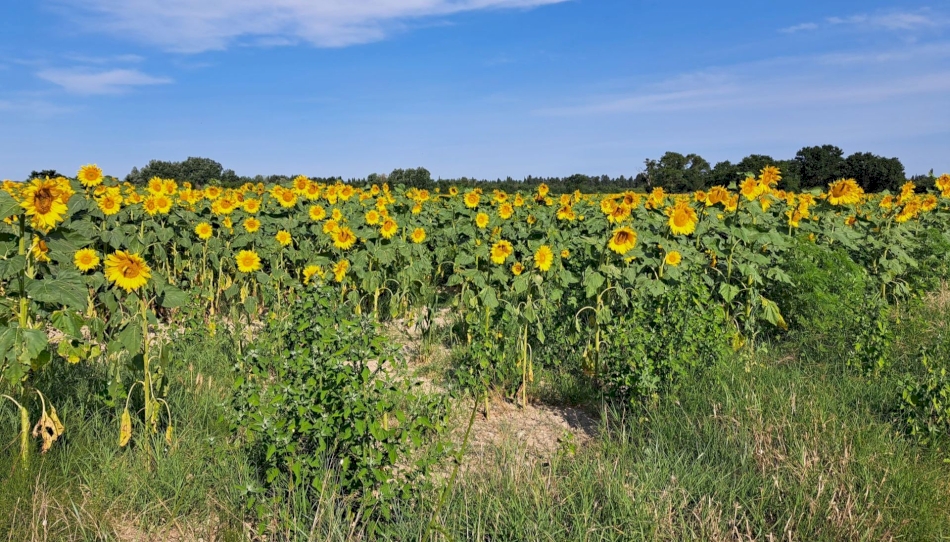 L'eau, l'une de nos richesses
