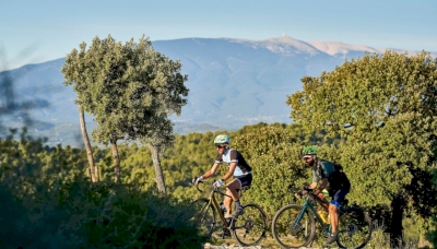 Une communication vivante