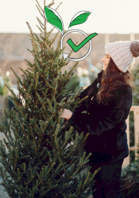 Offrez une seconde vie à votre sapin ! Offrez une seconde vie à votre sapin !