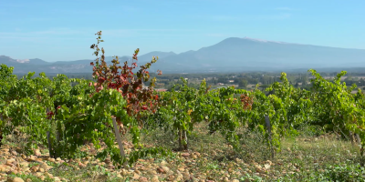 L’agriculture,  un atout autant qu’une richesse