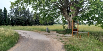 Prendre le temps de flâner…