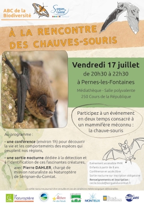 À la rencontre des chauves-souris À la rencontre des chauves-souris