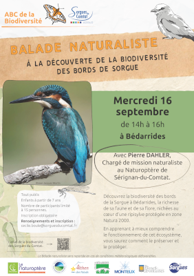 À la découverte de la biodiversité des bords de Sorgue 