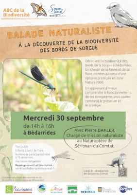 Deuxième balade naturaliste à Bédarrides Deuxième balade naturaliste à Bédarrides